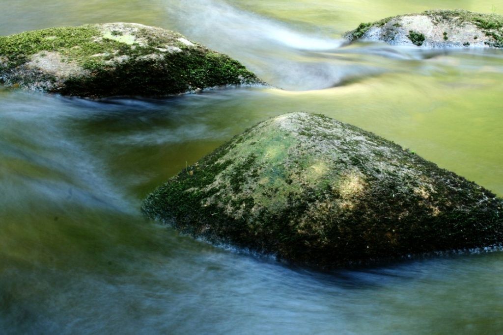 Šumava