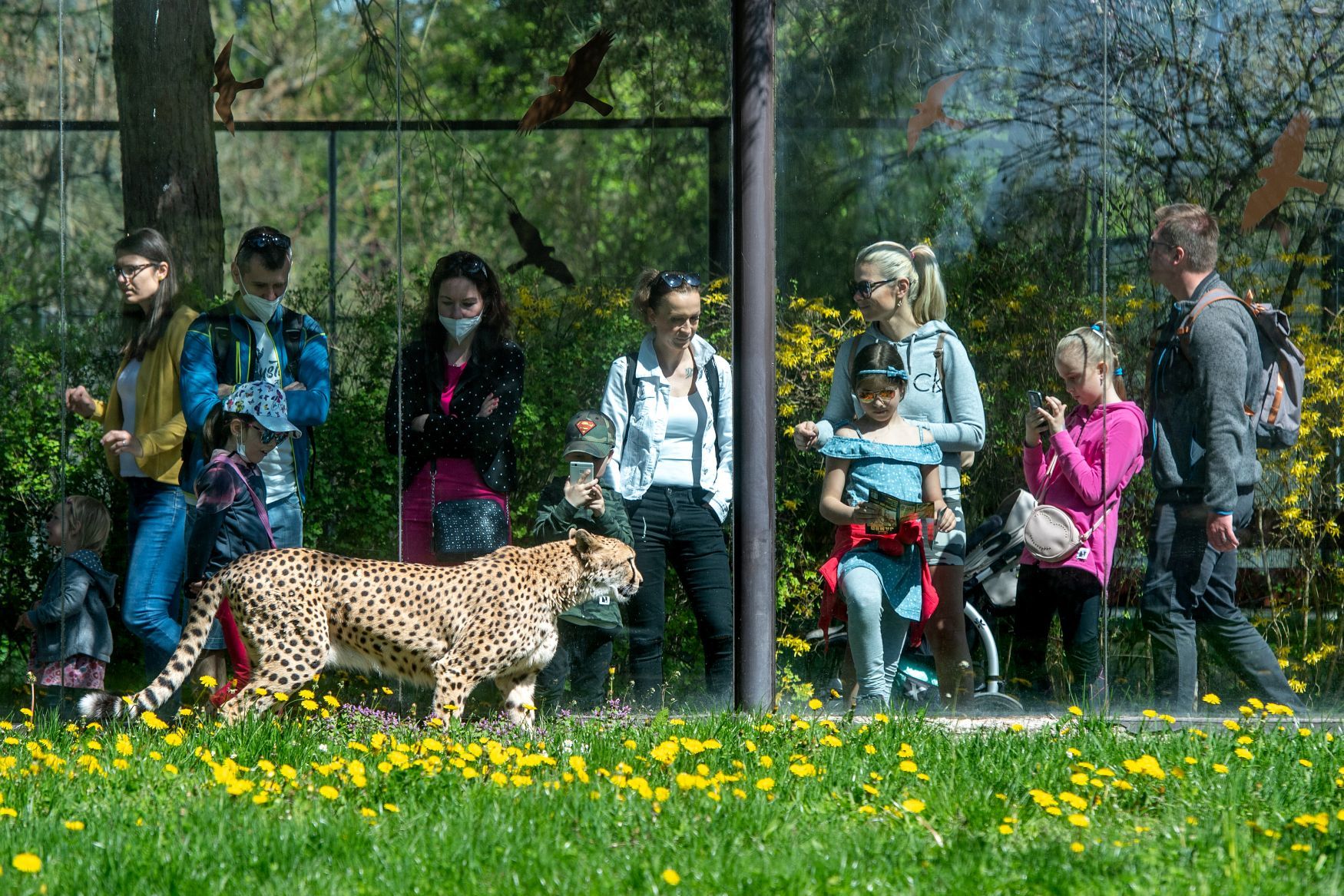 Počasí - otevření Zoo - Dvůr Králové