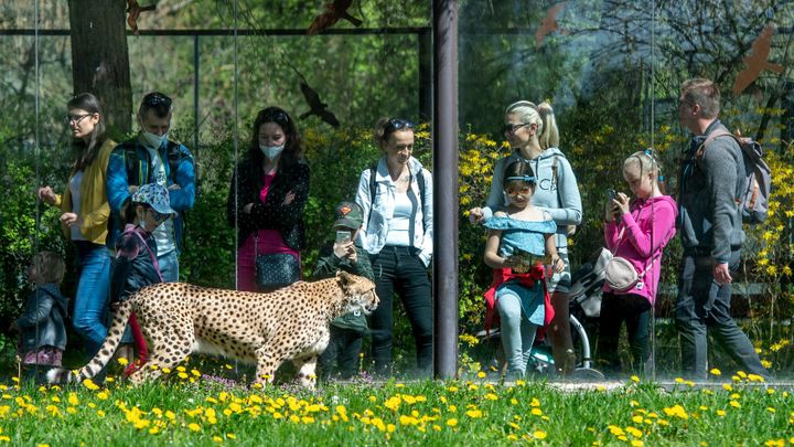 V neděli padaly teplotní rekordy. Češi vzali útokem otevřené zoo; Zdroj foto: ČTK