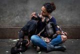 Brent Stirton (Jihoafrická republika), shortlist v kategorii Zvířata a příroda. Série snímků popisuje záchranu šimpanzů v Kongu.