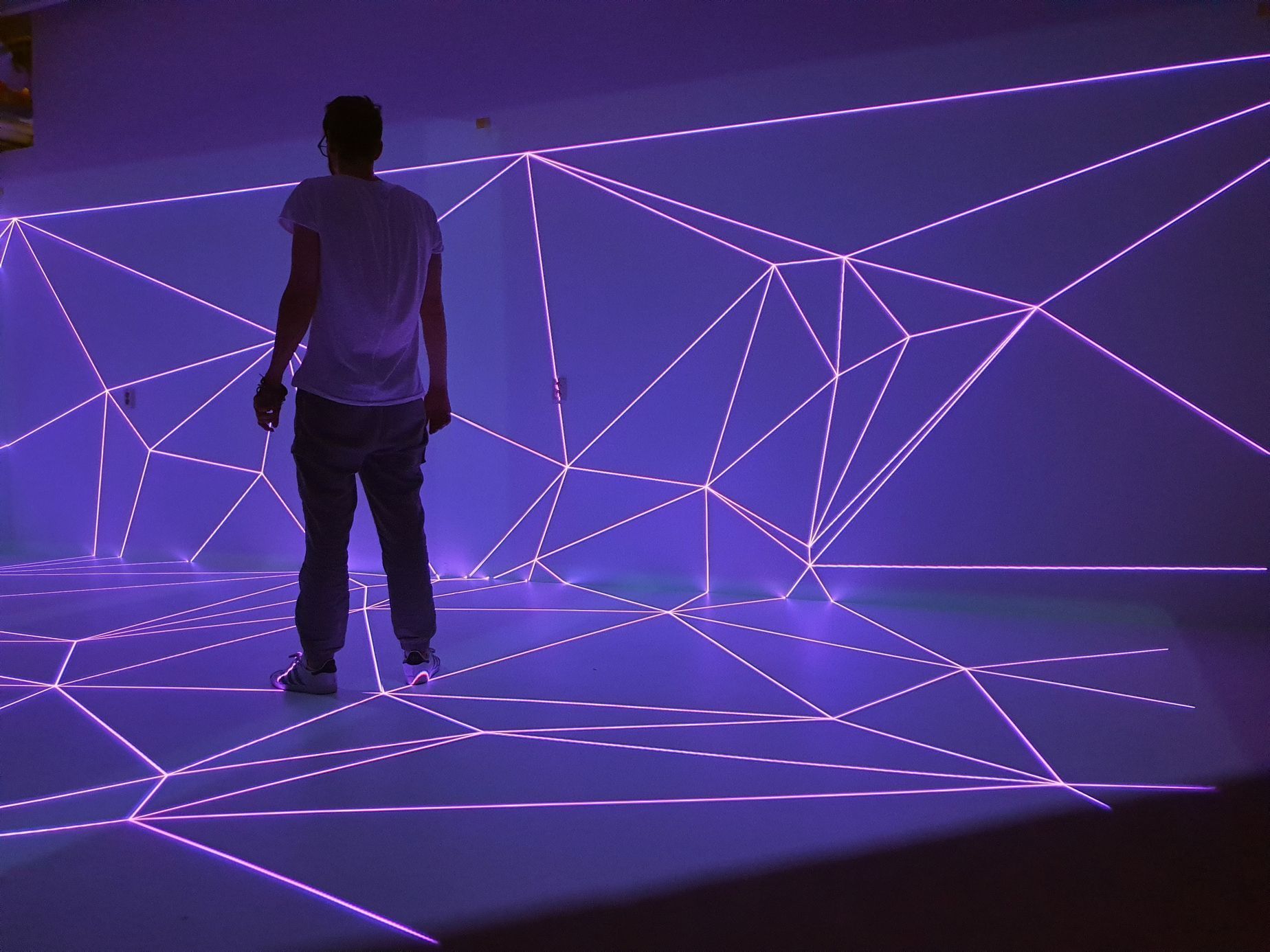 Signal Festival 2025