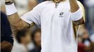 David Ferrer se raduje z výhry nad Rafaelem Nadalem ve čtvrtfinále US Open.