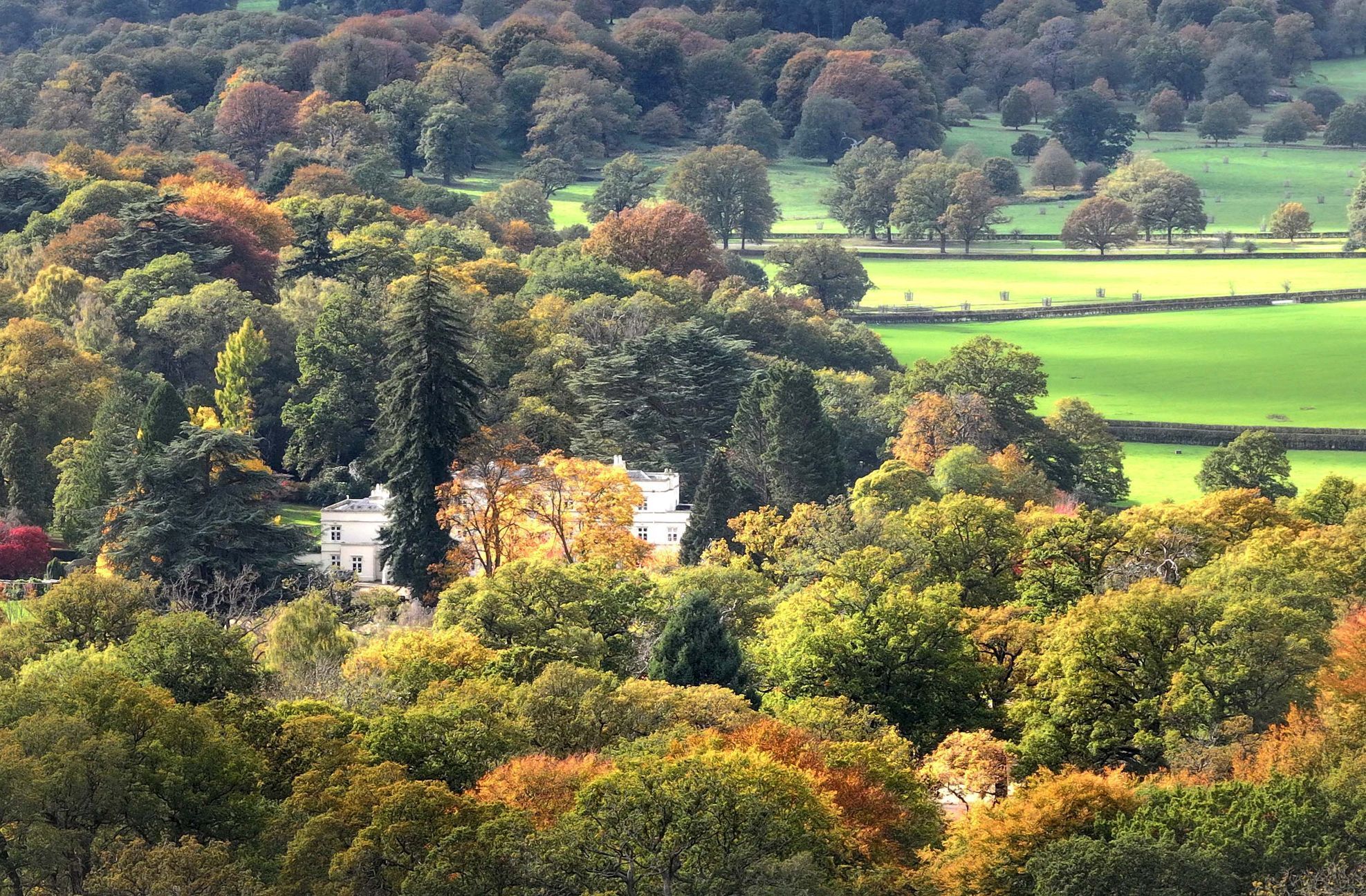 Velká Británie, monarchie, princ Andrew, král Karel III., Virginia Roberts Giuffre, Jeffrey Epstein, média,