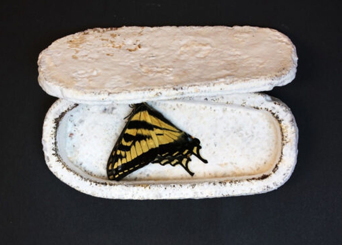 Káva, sedlina, 3D, vědci