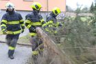 Silný vítr zaměstnává hasiče. Tisíce domácností jsou bez proudu, padají stromy