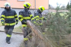 Moravskoslezští hasiči kvůli silnému větru zasahovali více než stokrát, odklízeli spadlé stromy
