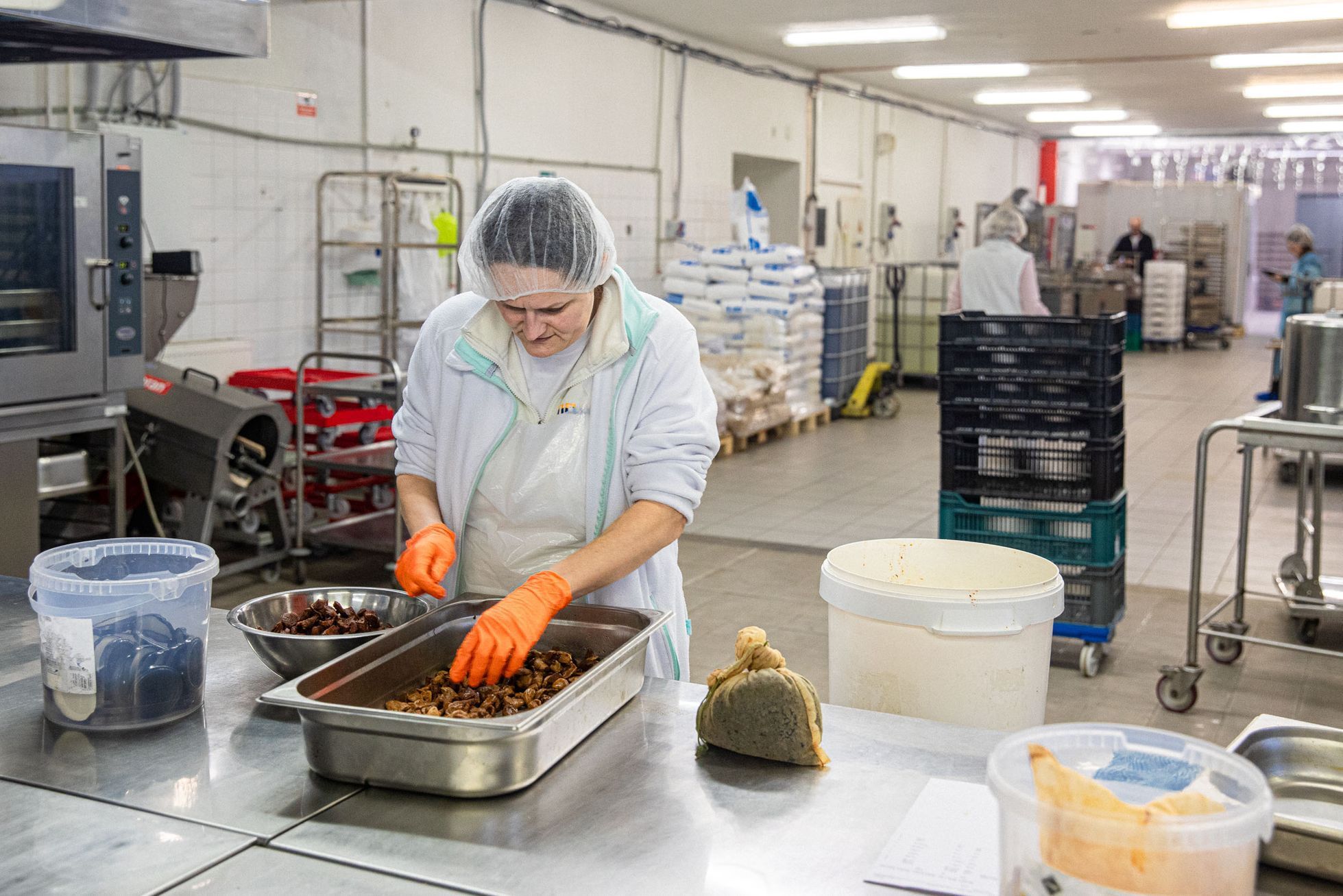 Firma Živina, Přerov, výroba kimchi, potraviny, zaměstnání, potraviny, potravinářství