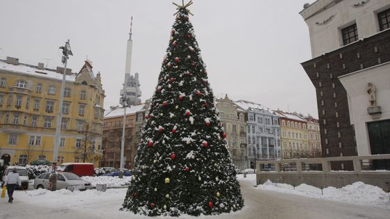 Umělohmotný smrk hraje koledy čerstvým mrtvolám na předvánočním trhu