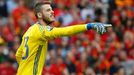 Euro 2016, Česko-Španělsko: David de Gea