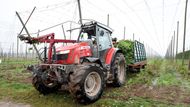 Hotovo. Traktor se solerem sklidil další řádek a může se jet na česačku.