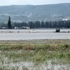 Foto: Povodně v roce 2002 v povodí Ohře a Labe / Zatopená oblast Terezínsko