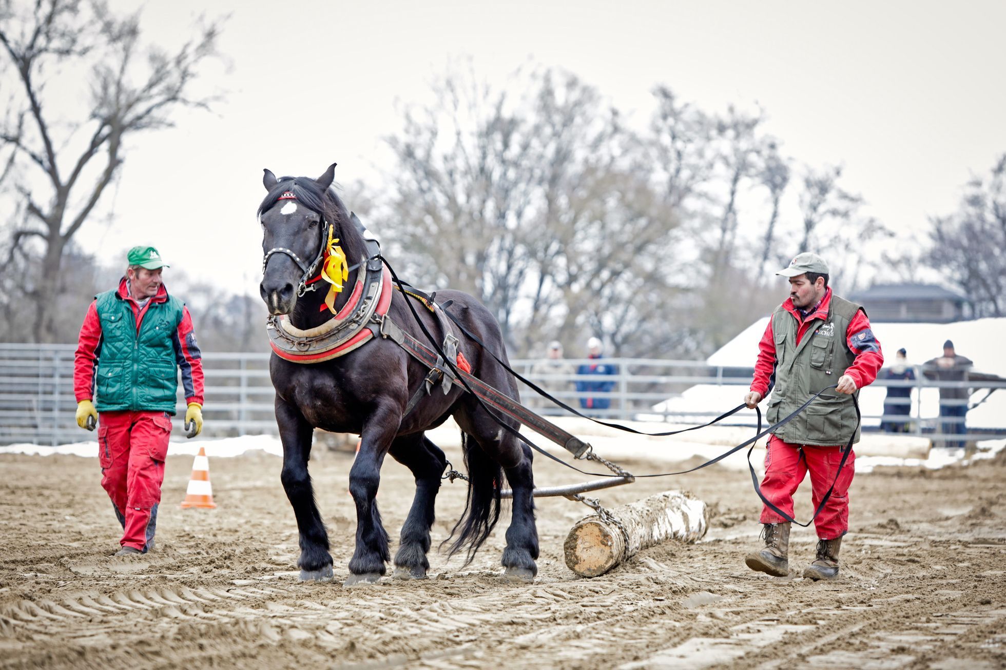 Formanské závody, Nemšová, Slovensko, Lifestyle