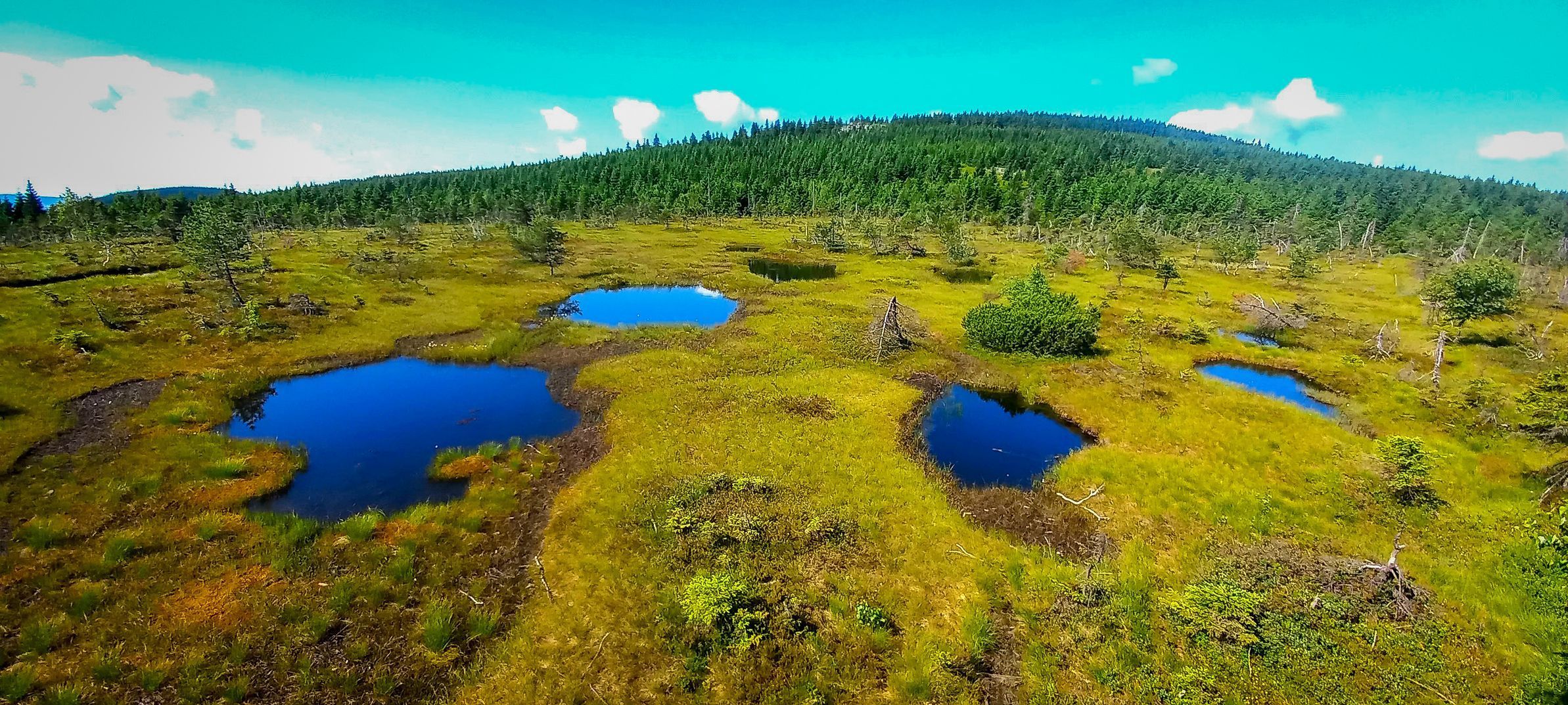 Archiv Jany Doktorové