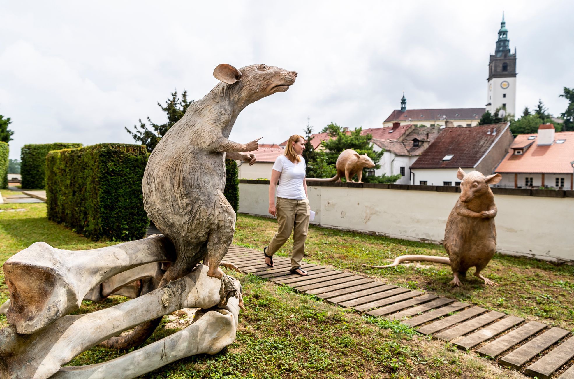 Kryštof Hošek: Revolution Evolution!, Severočeská galerie výtvarného umění v Litoměřicích
