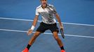 Australian Open 2017 (Roger Federer)