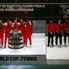 Davis Cup Finals - Final