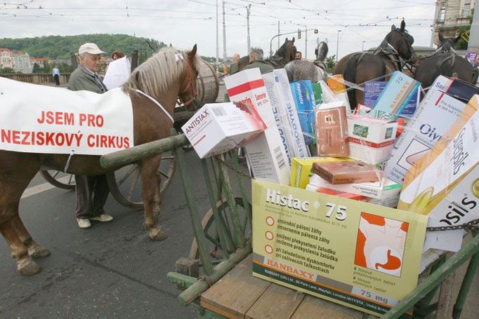 ...seřadili alegorické vozy