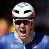 Tour de France 2017, 4. etapa: Arnaud Demare