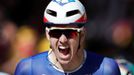 Tour de France 2017, 4. etapa: Arnaud Demare