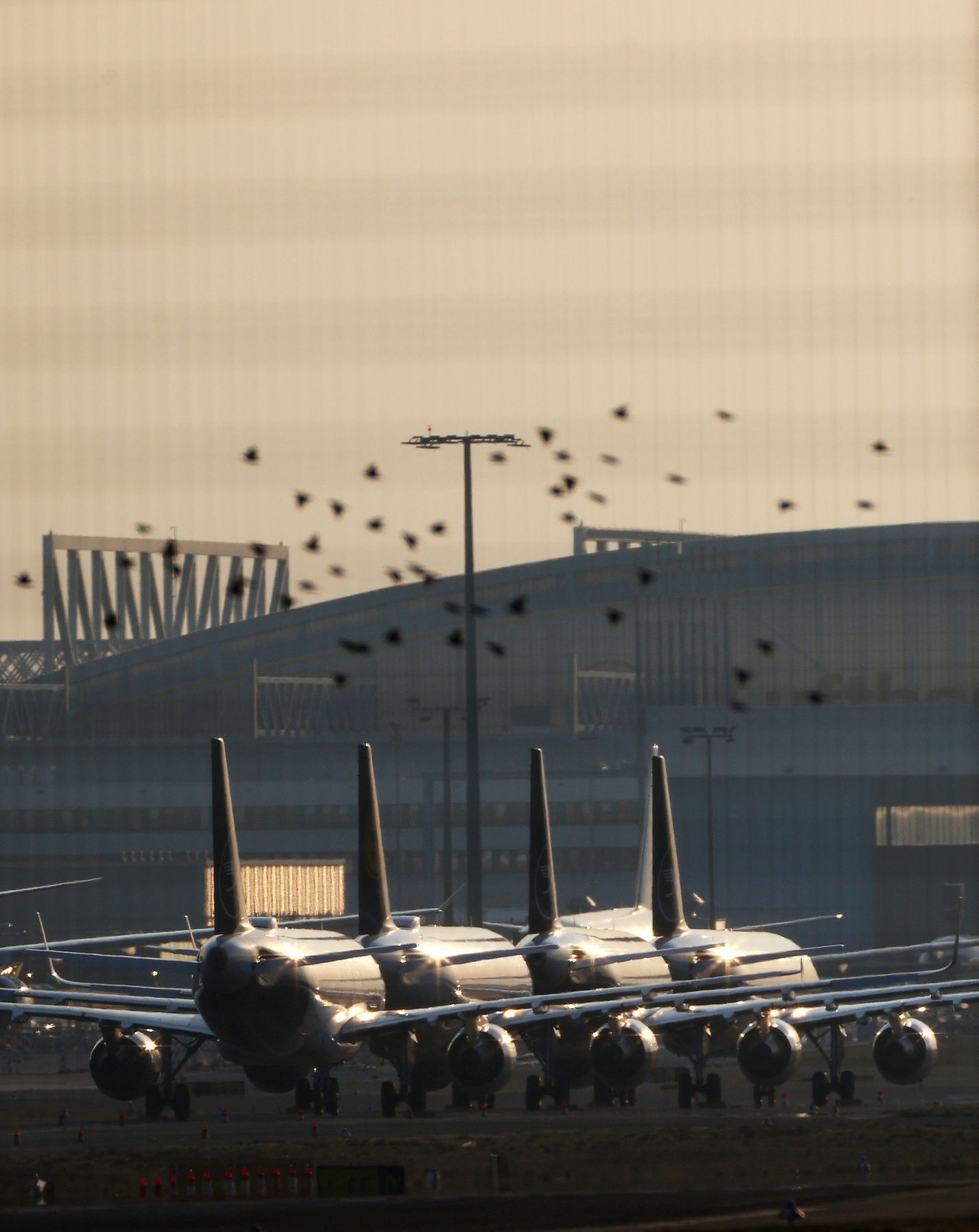 Fotogalerie / Odstavená letadla během koronavirové krize / Reuters