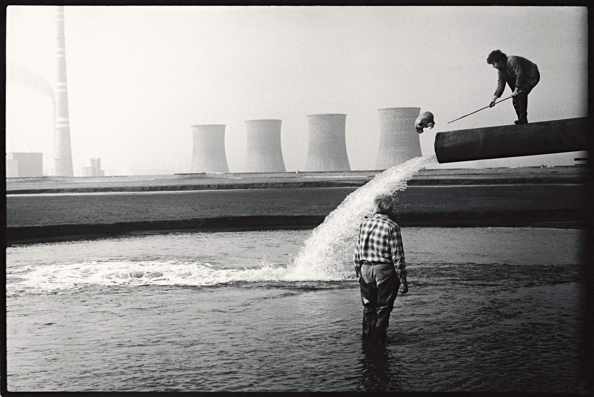 Jan Svěrák - život a dílo