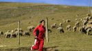 Marathon runner Gladys Tejeda, the first Peruvian athlete who qualified for the 2012 London Olympic Games, runs during her training in the Andean province of Junin May 14, 2012. A private company will take Gladys' mother Marcelina Pucuhuaranga, 69, to London as part of the "Thank you Mom" program. For Pucuhuaranga, who received her first passport, it will be the first time travelling out of Peru. The program will take about 120 mothers of different athletes around the world to attend the games. Tejeda, the youngest of nine children, returned to her hometown to visit her mother and to focus on training where she will run more than 20 km every day in the highlands (over 4,105 meters above sea level). Picture taken May 14, 2012. REUTERS/Pilar Olivares(PERU - Tags: SPORT ATHLETICS OLYMPICS) Published: Kvě. 17, 2012, 6:07 odp.