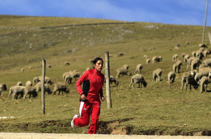 Marathon runner Gladys Tejeda, the first Peruvian athlete who qualified for the 2012 London Olympic Games, runs during her training in the Andean province of Junin May 14, 2012. A private company will take Gladys' mother Marcelina Pucuhuaranga, 69, to London as part of the "Thank you Mom" program. For Pucuhuaranga, who received her first passport, it will be the first time travelling out of Peru. The program will take about 120 mothers of different athletes around the world to attend the games. Tejeda, the youngest of nine children, returned to her hometown to visit her mother and to focus on training where she will run more than 20 km every day in the highlands (over 4,105 meters above sea level). Picture taken May 14, 2012. REUTERS/Pilar Olivares(PERU - Tags: SPORT ATHLETICS OLYMPICS) Published: Kvě. 17, 2012, 6:07 odp.