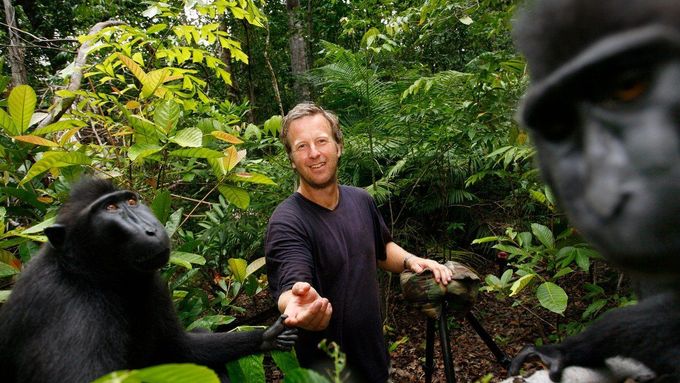 David Slater s makaky v Indonésii.