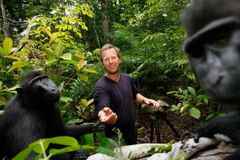 Fotograf definitivně vyhrál spor o opičí selfie. Snímek makaka patří jemu, nikoliv opici