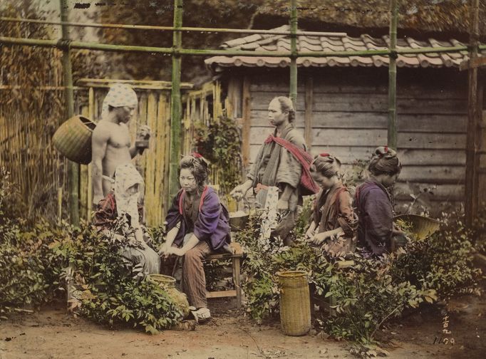 Šiniči Suzuki (1835 - 1919): Život a obchod v Japonsku, fotografie z 19. století