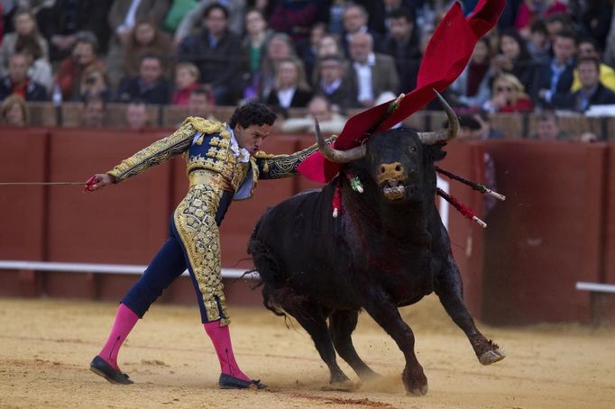 Spanish matador Oliva Soto performs a pass to a bull during a bullfight in Seville