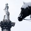 Nejkrásnější snímky Reuters 2. - 8. 2. 09
