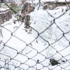 Umělá ledová stěna v Liberci