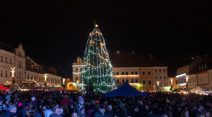 Česká Lípa. Šestnáctimetrový smrk obecný, věnovaný obyvateli bytového domu ze Skalické ulice v Novém Boru.