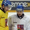 Česká hokejová reprezentace na tréninku před odletem na MS ve Švédsku a Finsku (Petr Čáslava a Tomáš Plekanec)