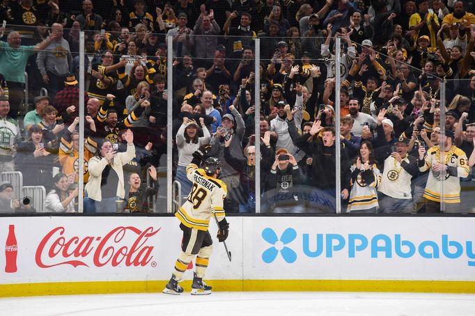 David Pastrňák slaví s fanoušky Bostonu vstřelený gól