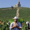 Beaujolais - nepoužívat, jednorázové svolení vlastníka