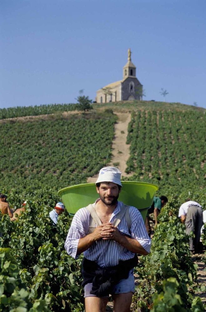Beaujolais - nepoužívat, jednorázové svolení vlastníka