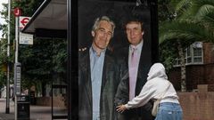 Trump Epstein Aktivismus