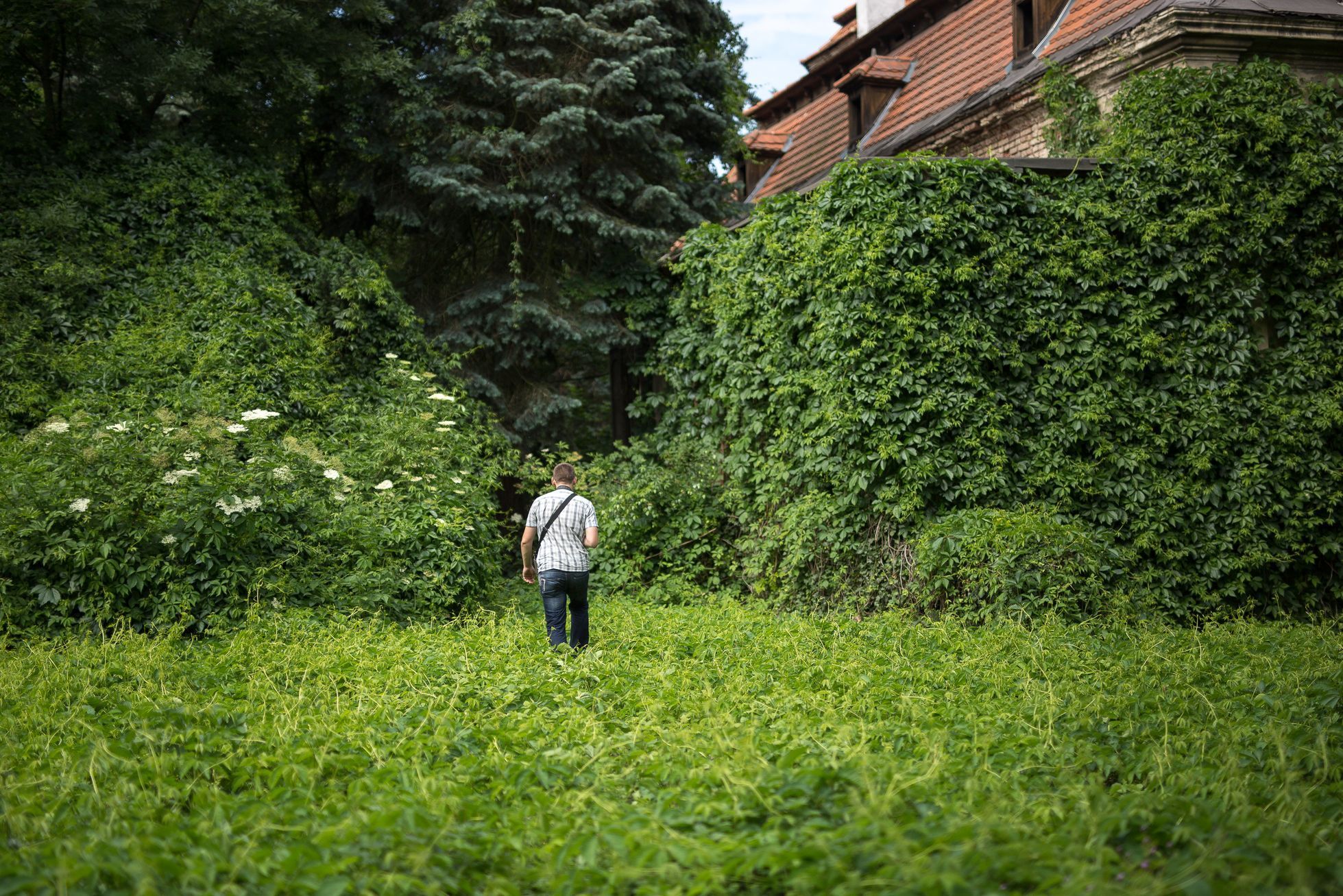 Prázdné domy Praha