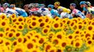 Peloton jezdců včetně Romana Kreuzigera se v šesté etapě Tour de France držel pohromadě.