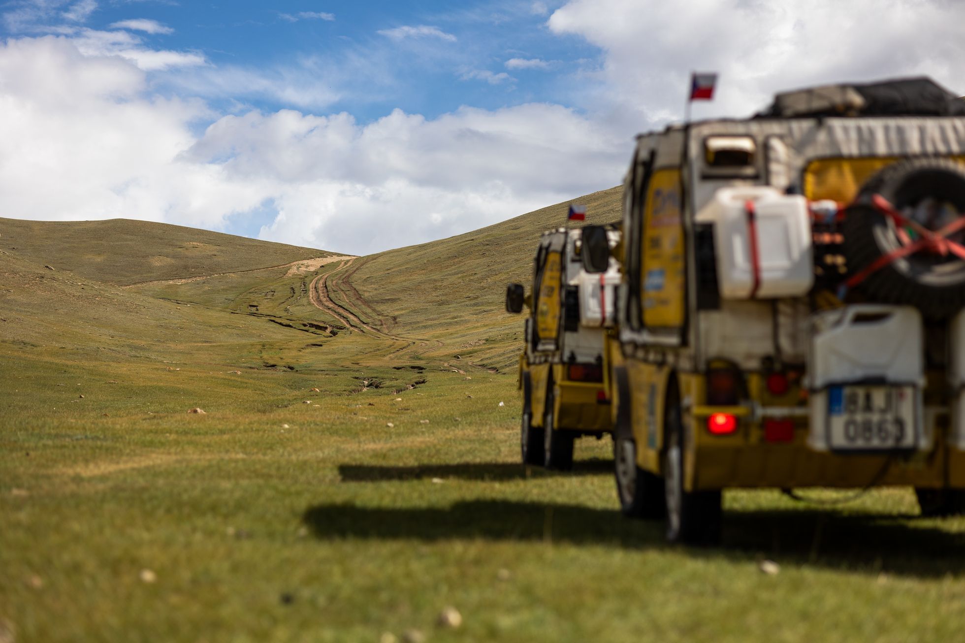 Žlutá žába pluje