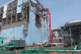 Letošní smuteční akce byla také vzpomínkou na nedávnou tragickou nehodu japonské jaderné elektrárny Fukušima.