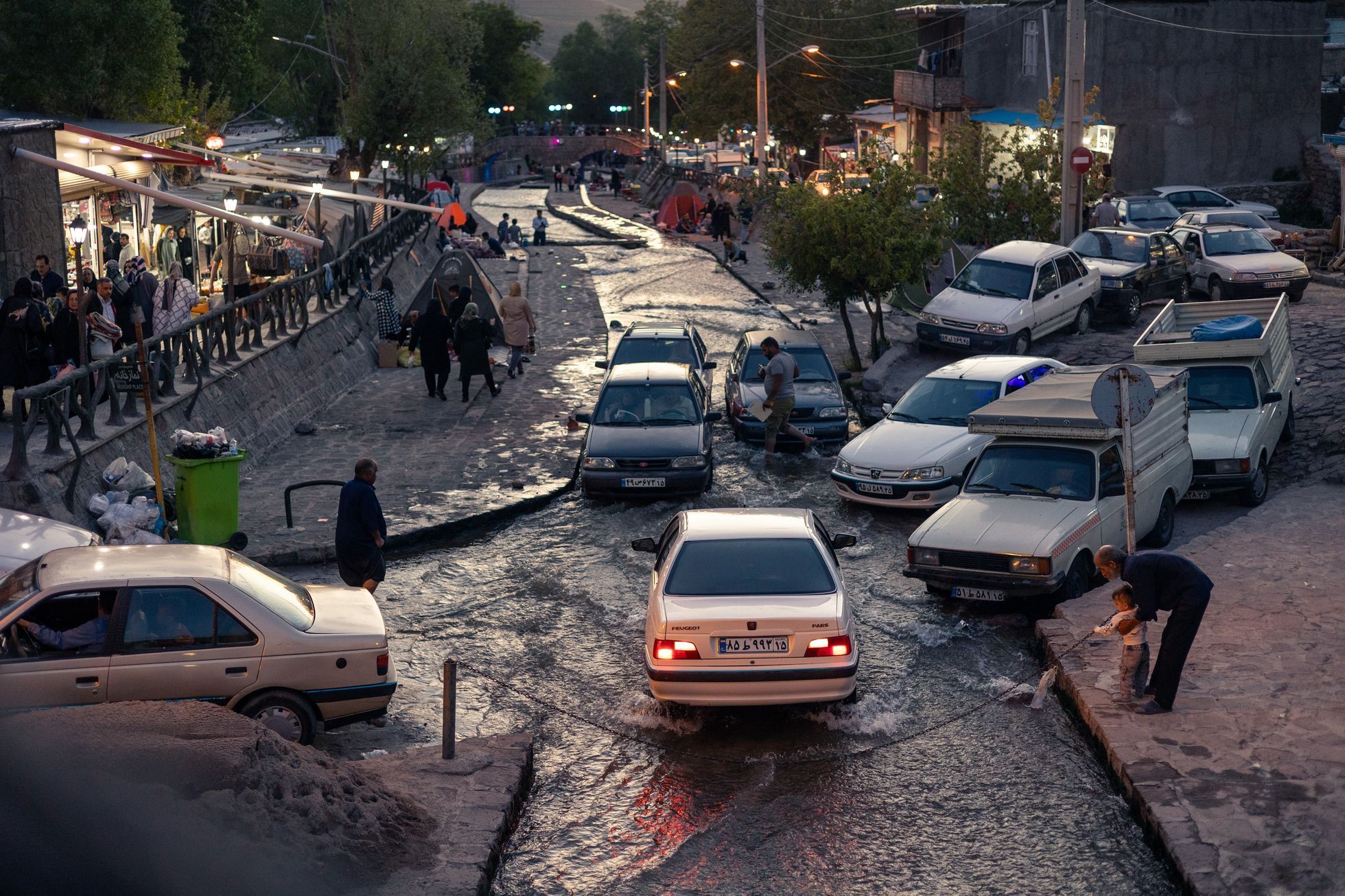 žlutá žába irán O7