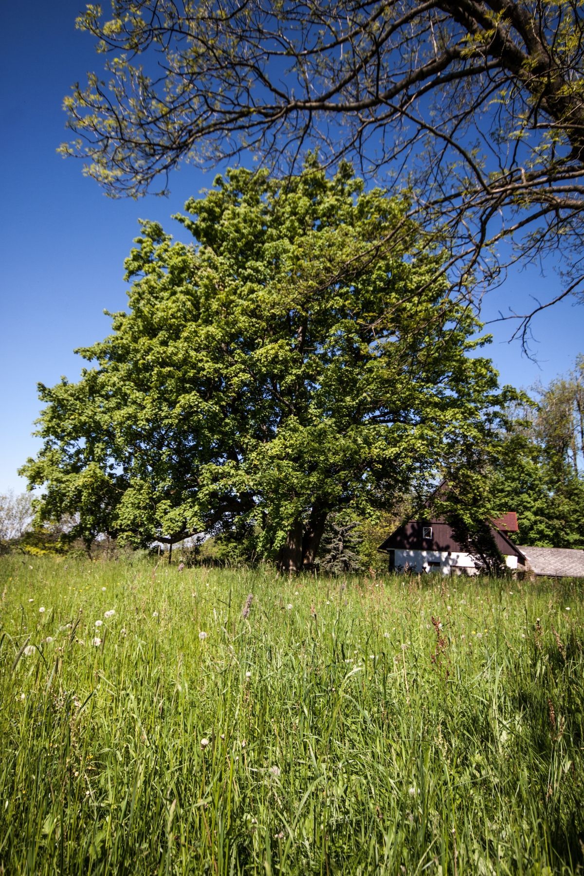 Anketa Strom roku 2014