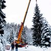 Příprava na Vánoce - Oslo věnuje Londýnu vánoční strom