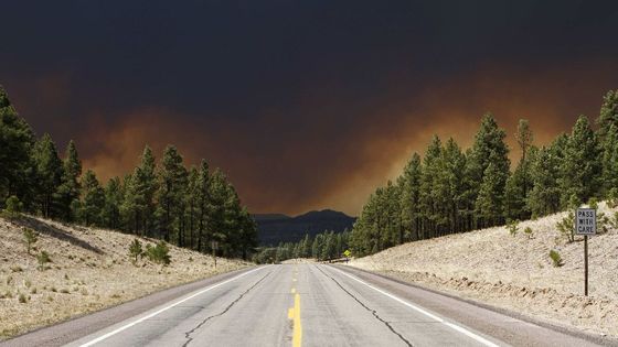 Rozsáhlé požáry v Arizoně donutily na 3000 lidí k evakuaci