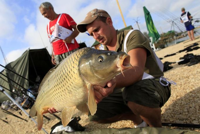 A 6.73 kg carp is held by Tony Darnand of France during the 14th Carpfishing World Championship in Corbu village, 310 km (192 miles) east of Bucharest, September 29, 2012. REUTERS/Radu Sigheti (ROMANIA - Tags: SOCIETY) Published: Zář. 29, 2012, 4:32 odp.