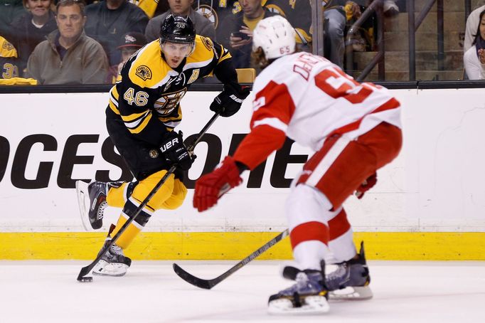 NHL: Stanley Cup Playoffs-Detroit Red Wings at Boston Bruins (David Krejčí)