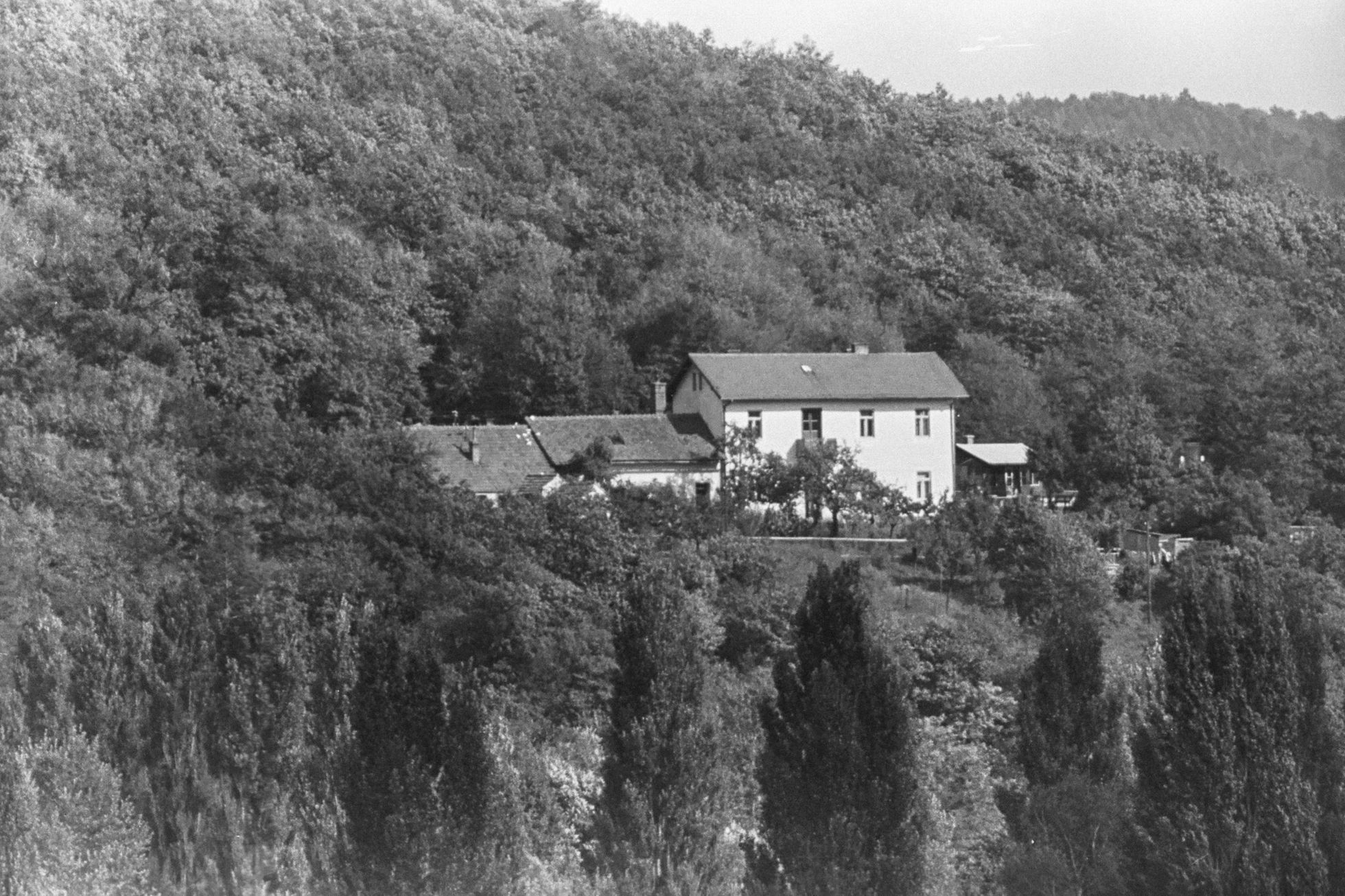 Zoo Brno, Brněnská zoo, zoo, zoologická zahrada, historie, výročí, Domácí